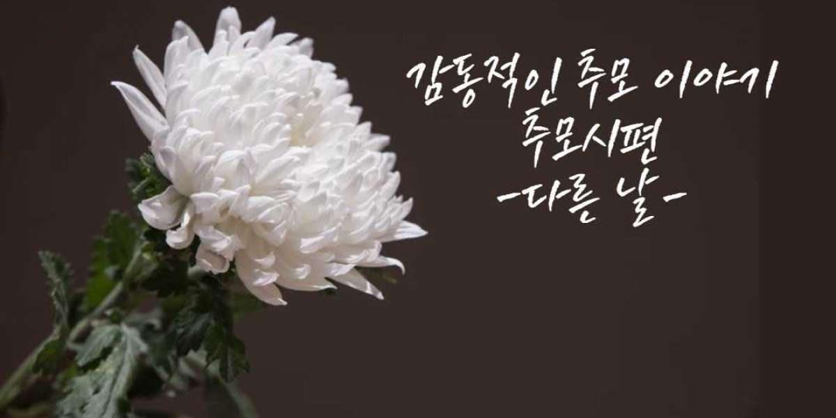 감동적인 추모 이야기_다른 날
